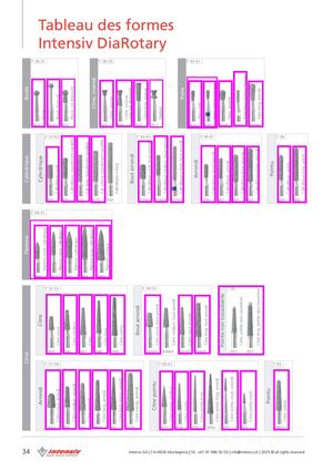 Intensiv - Guide des formes DPI BE