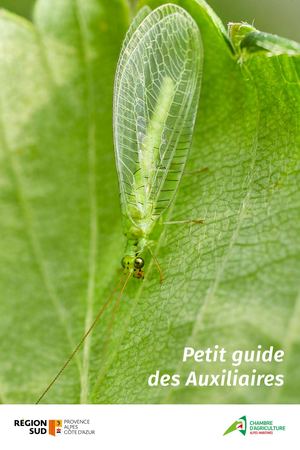 Carnet Auxiliaires Cream 2026