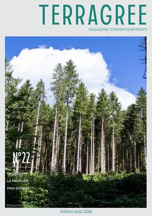 Magazine d'investissements août