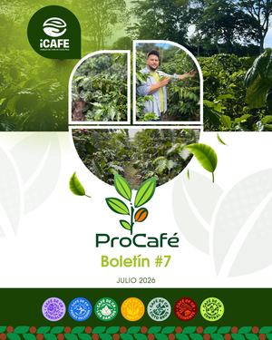 Boletín Procafé #7