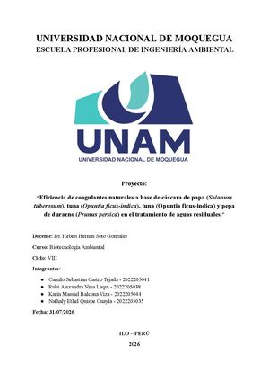 Proyecto Final Biotecnologia Ambiental (1)