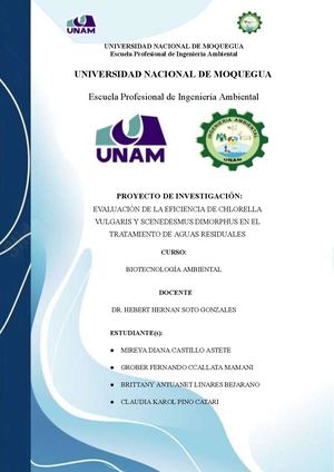 EVALUACIÓN DE LA EFICIENCIA DE CHLORELLA vulgaris Y Scenedesmus dimorphus EN EL TRATAMIENTO DE AGUAS RESIDUALES