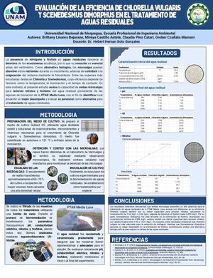 EVALUACIÓN DE LA EFICIENCIA DE CHLORELLA vulgaris Y Scenedesmus dimorphus EN EL TRATAMIENTO DE AGUAS RESIDUALES
