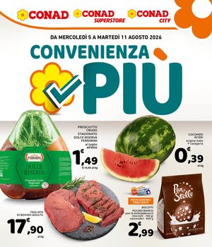 Document 5 11 Agosto