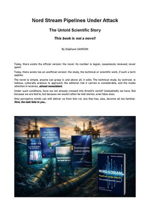 The Novel