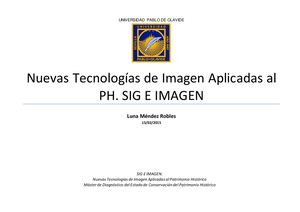 Sig E Imagen