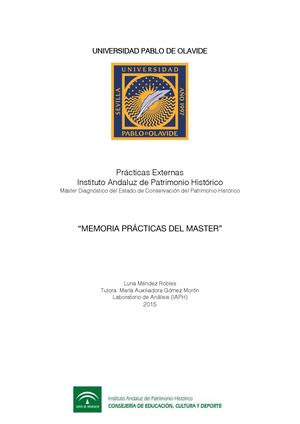 Memoria Prácticas Instituto Andaluz de Patrimonio Histórico