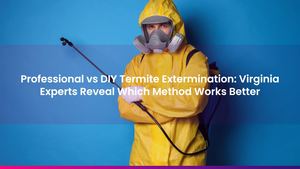Professional vs DIY Termite Extermination: Virginia Experts Reveal Which Method Works Better