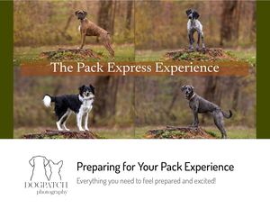 The Pack Express Experience 2026