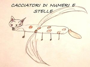 Cacciatori Di Numeri E Stelle