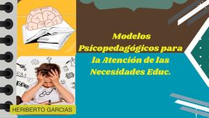 Modelo Psicopedagogico Portafolio
