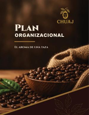 PLAN ORGANIZACIONAL