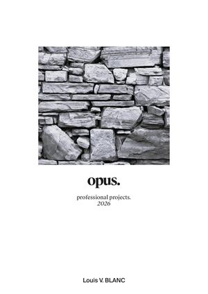 PROFESSIONAL BROCHURE - Louis Victor Blanc