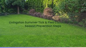 Livingston Summer Tick & Flea Control: 4 Peak Season Prevention Steps