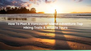 How To Plan A Vancouver Island Adventure: Top Hiking Trails & Wildlife Tours
