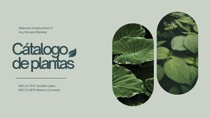 CATÁLOGO DE PLANTAS - SC IV