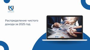 Распределение чистого дохода 2025г Рус