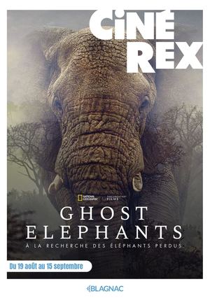Rex Programme A5 19aout 15sept26 Web