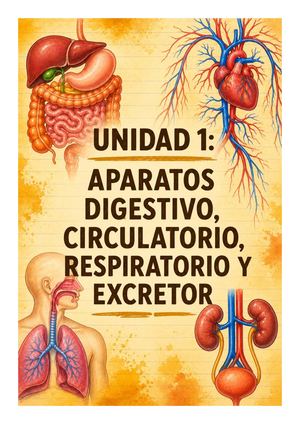 CONO 6.Unidad 1