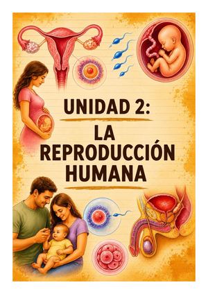 CONO 6. Unidad 2