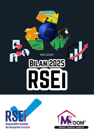Bilans RSEi 2025