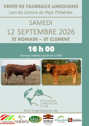 VENTE PLC 2026