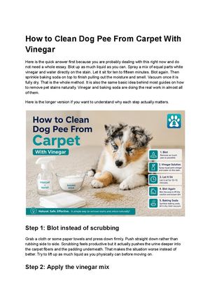How To Clean Dog Pee From Carpet With Vinegar