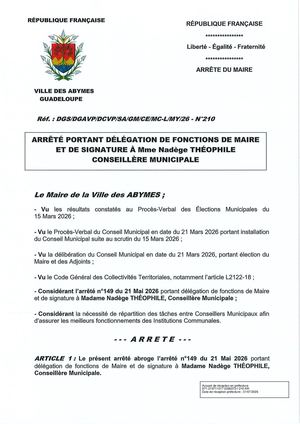 Arrêté N°210 Theophile