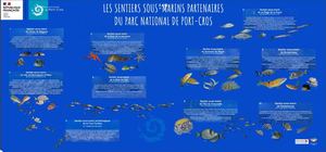 2026 Panoramiques Sentiers Sous Marins Ama Parc National De Port Cros