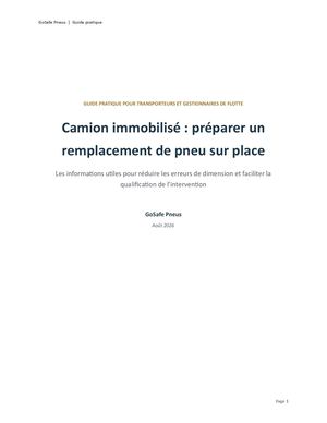Go Safe Pneus Remplacement Pneu Camion