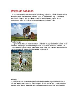 Razas De Caballos