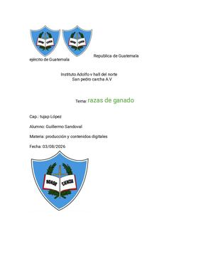 Angus 17