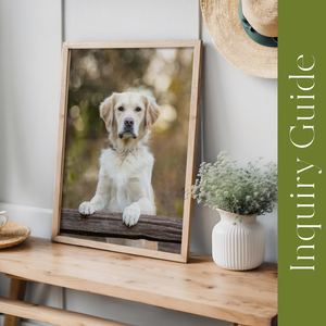 Dogpatch Inquiry Guide