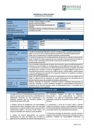 Estandares Internacionales En La Proteccion Derechos