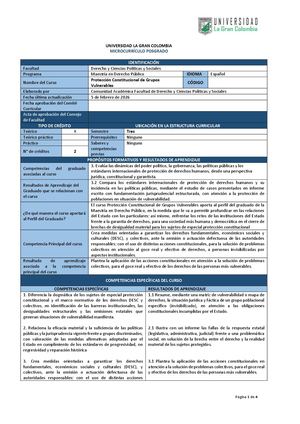 Proteccion Constitucional De Grupos Vulnerables