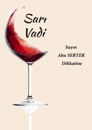 Ahu Sezer Calemeo