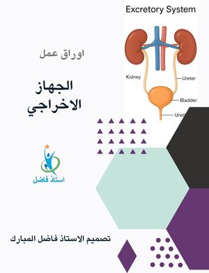 الجهاز الاخراجي