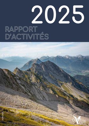 Rapport D'activités 2025