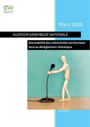 250319 Audition AN Assurabilité Des Collectivités
