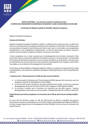 202505 Recommandations Livre Blanc Subventions EUROPE VILLE SLM