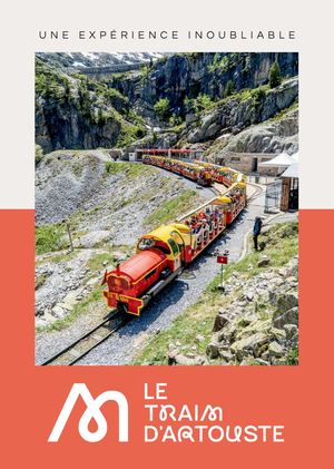 Flyer Train