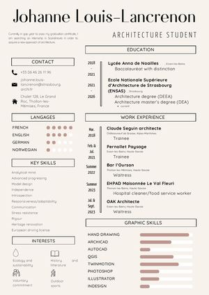 Cv Johanne Louis Lancrenon (english version)