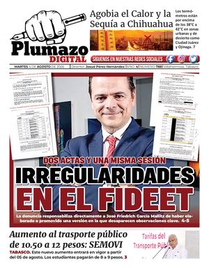 Plumazo Digital 788