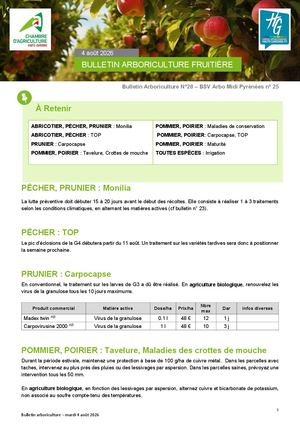 Bulletin arbo n°28 du 4 Août 2026