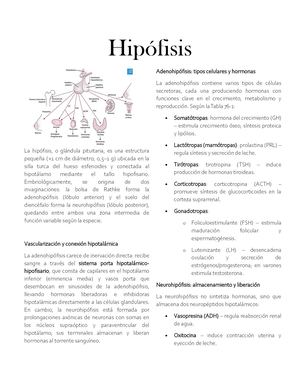 Hipófisis Actividad