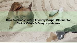 How To Choose a Pet-Friendly Carpet Cleaner for Stains, Odors & Everyday Messes