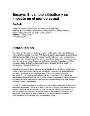 Ensayo Docx Rodriguez Vasquez