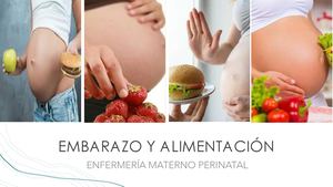 2026b Nutrición Y Embarazo