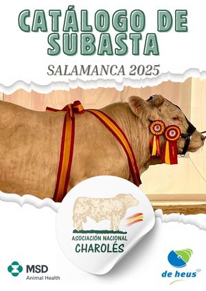 Catalogo De Subasta Salamanca 2025