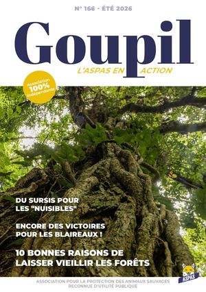 Goupil n°166 - extraits